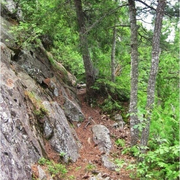 Hiking path up Harmony River. Extremely narrow in places and quite rugged. Also a loooong way down if your not paying attention. 