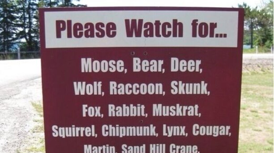 Funny how the further north you go the more scarier the animals get added to the list.