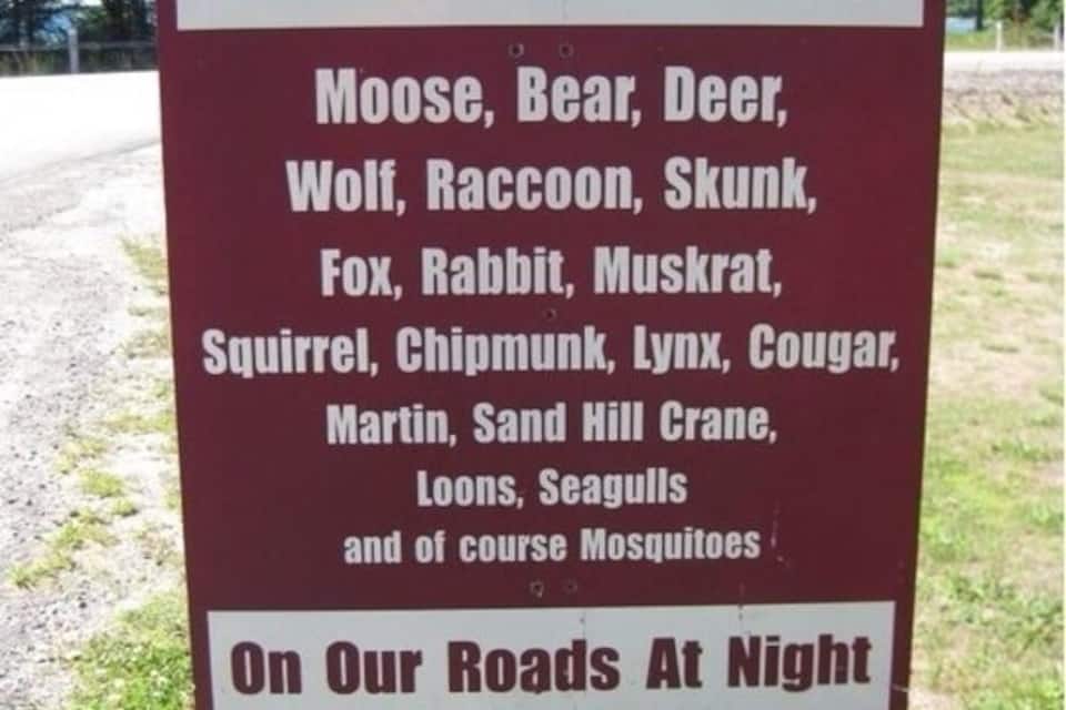 A sign listing animals to watch for at night on roads.