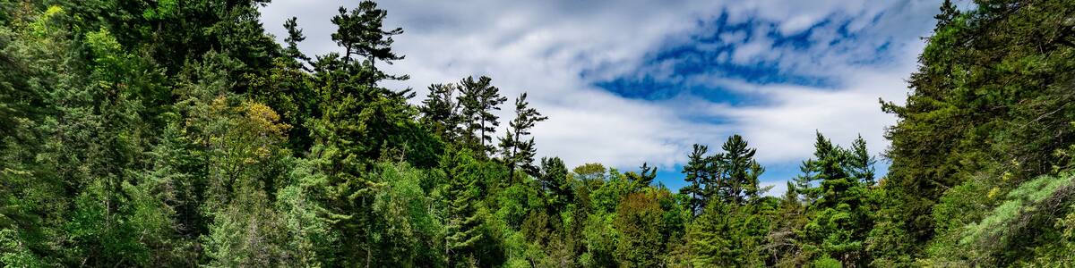 Chippewa Falls in Algoma, Ontario, Canada. Wide and cascading Chippewa Falls are located at halfway point of Trans-Canada Highway. Highway 17 at Chippewa River, Batchawana Bay. Fly fishing in waders.