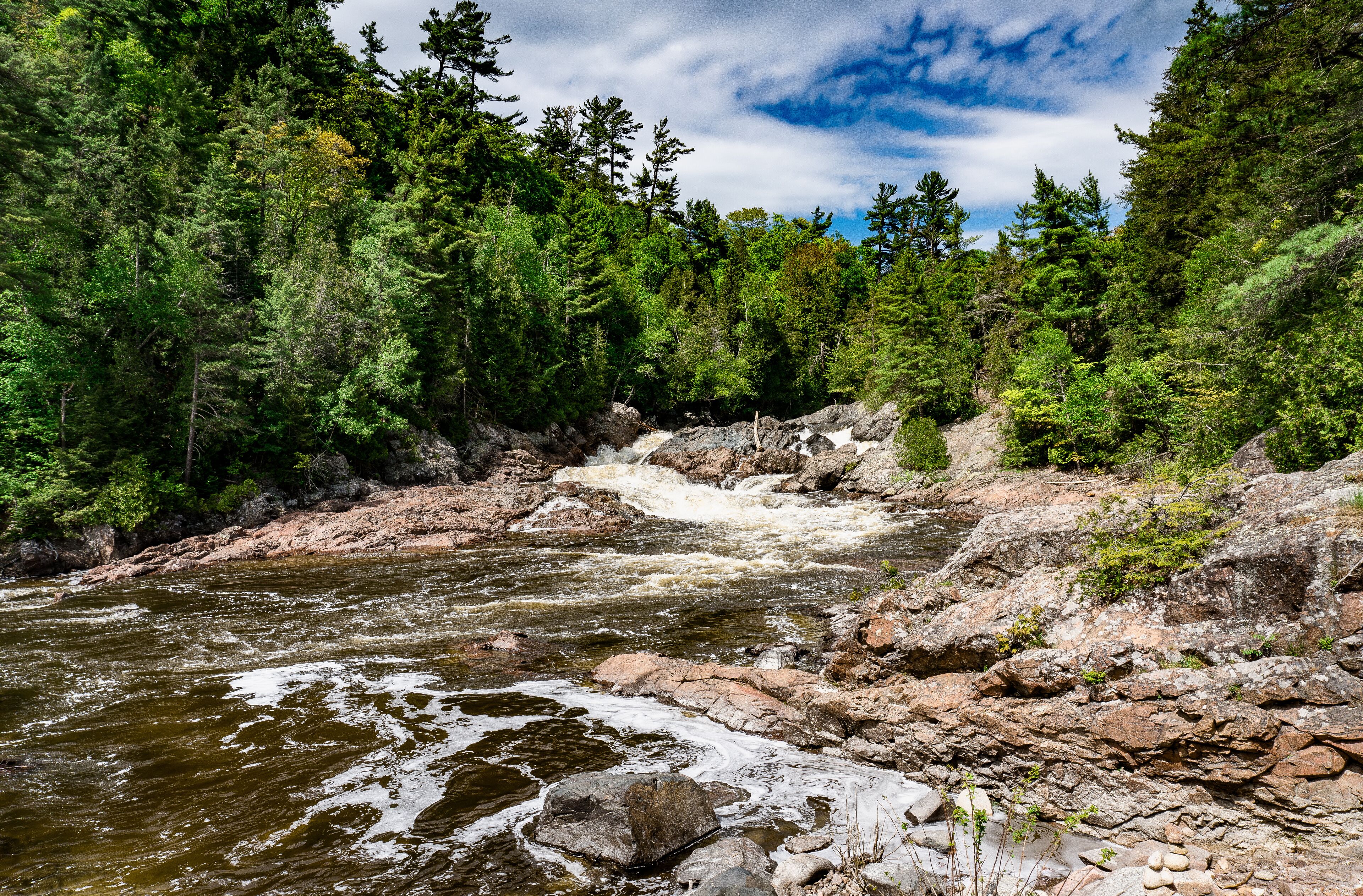 A river flowing through a forested area with rocky terrain and dense trees.