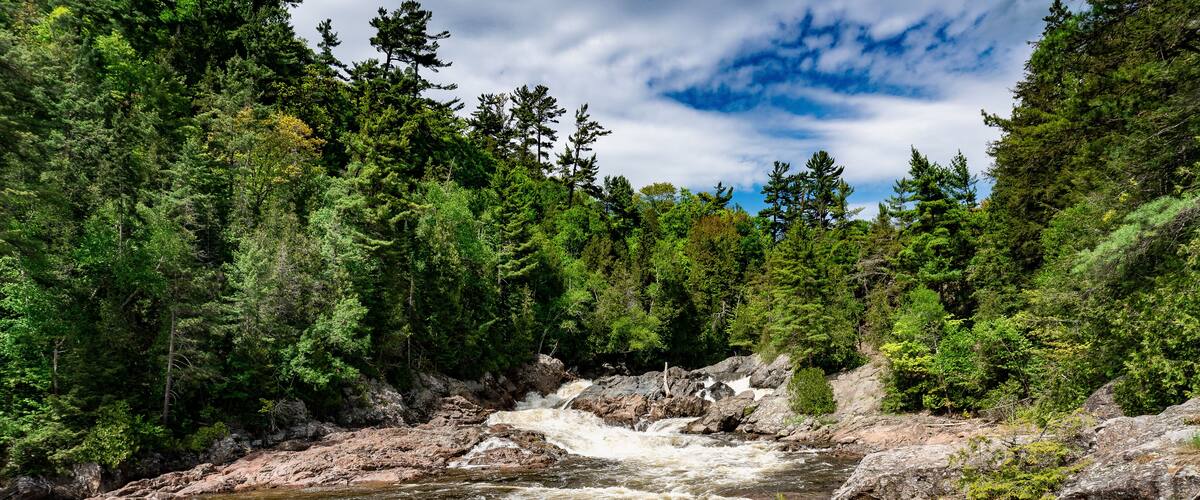 A river flowing through a forested area with rocky terrain and dense trees.