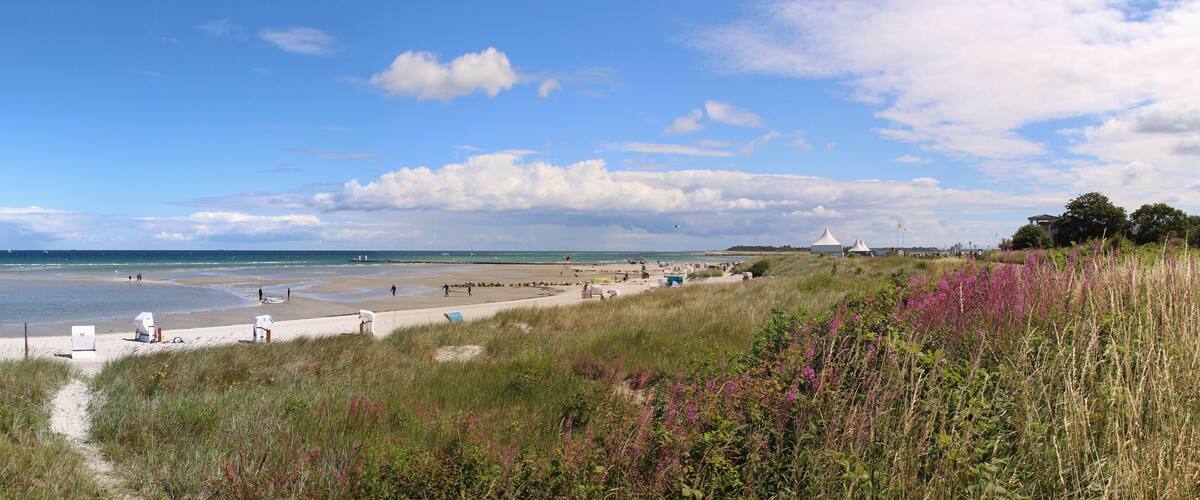 A coastal beach with dunes, beach huts, and a clear sky.