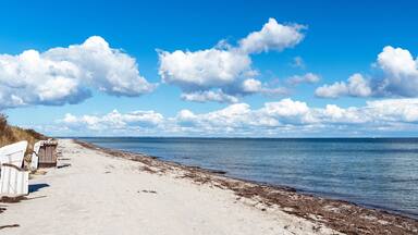 Strandkörbe am Ostseestrand