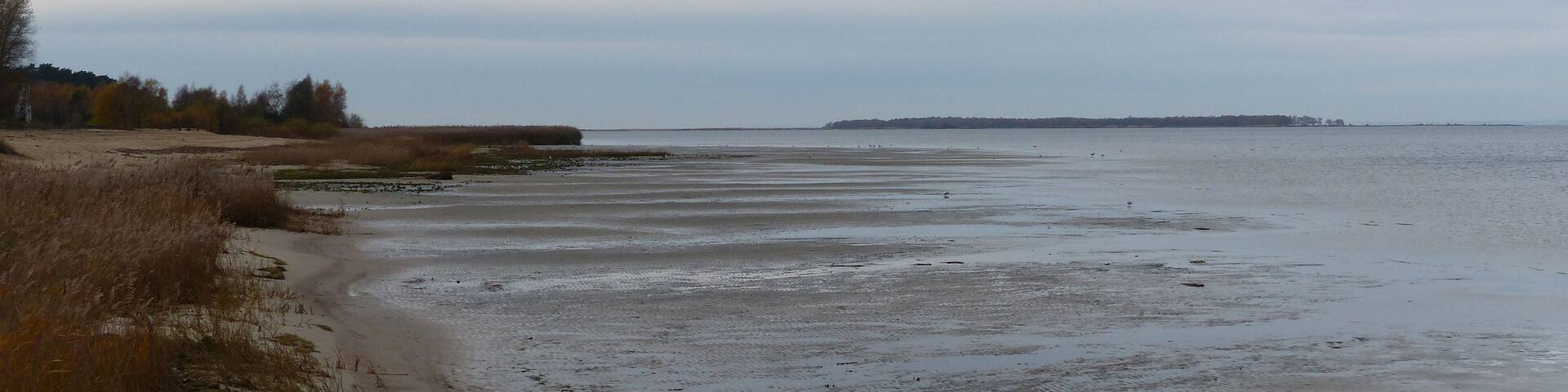 Freest, Windwatt am Peenestrom, Blick nach Norden