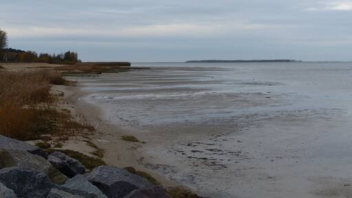 Freest, Windwatt am Peenestrom, Blick nach Norden
