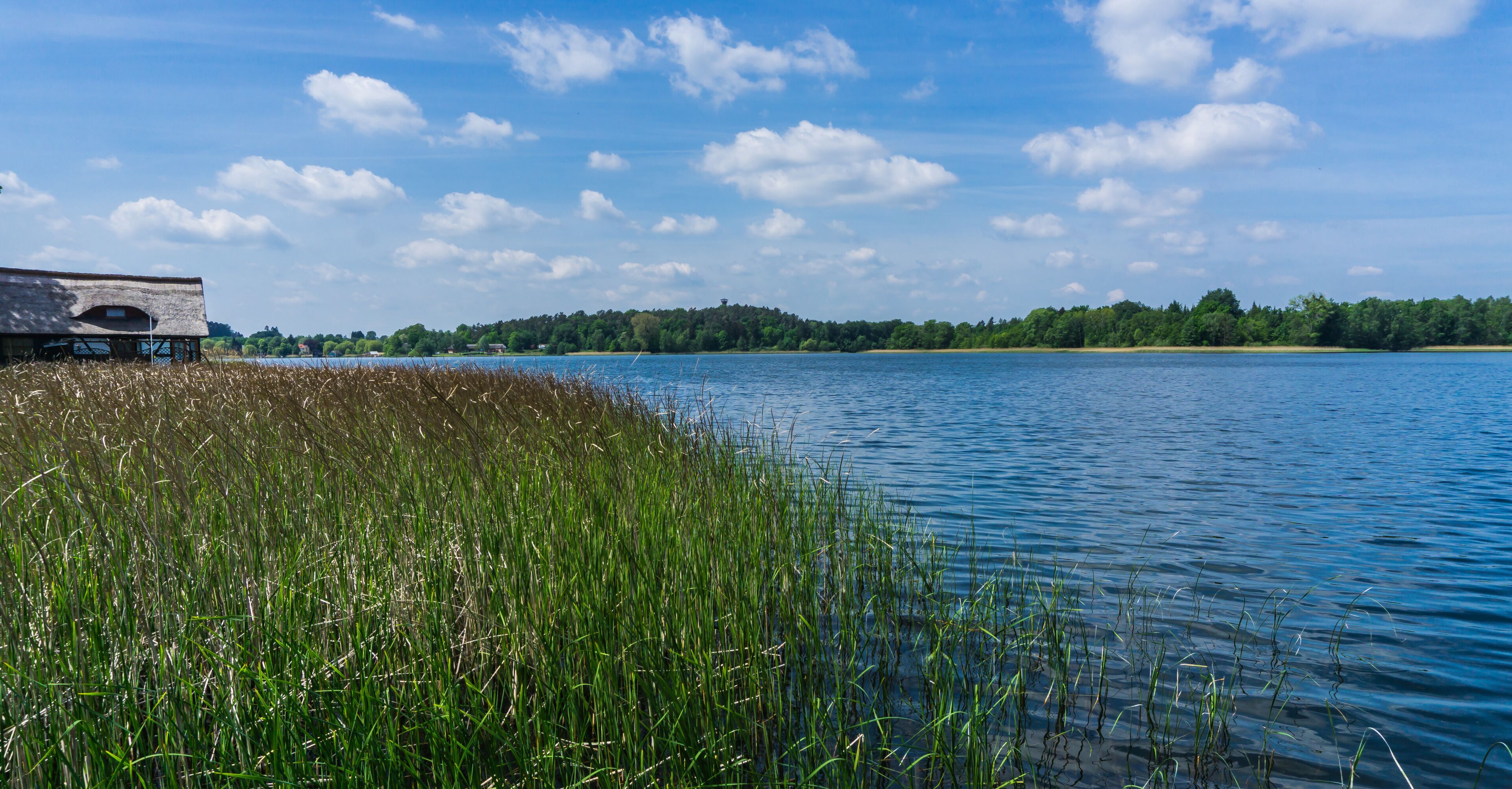 Ausblick auf den Krakower See mit Schilfgras und Bootshaeusern