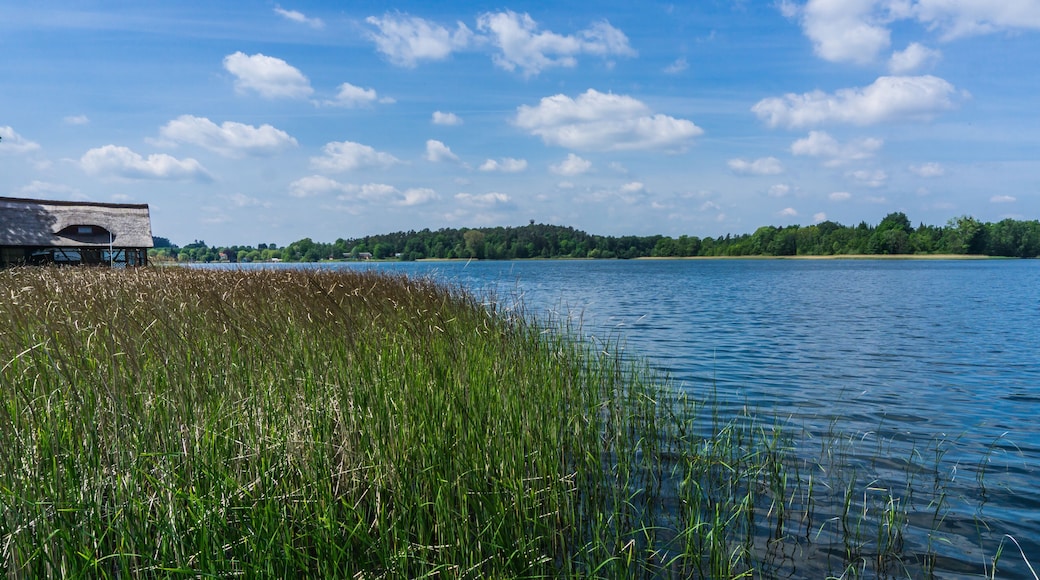 Ausblick auf den Krakower See mit Schilfgras und Bootshaeusern