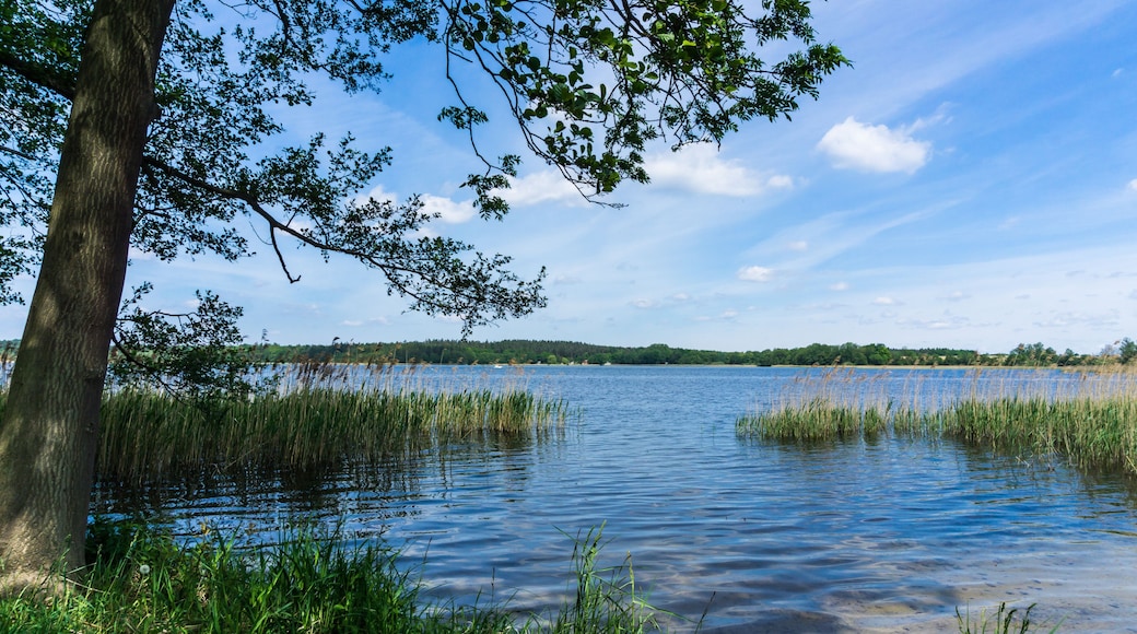 Badestelle am Krakower See