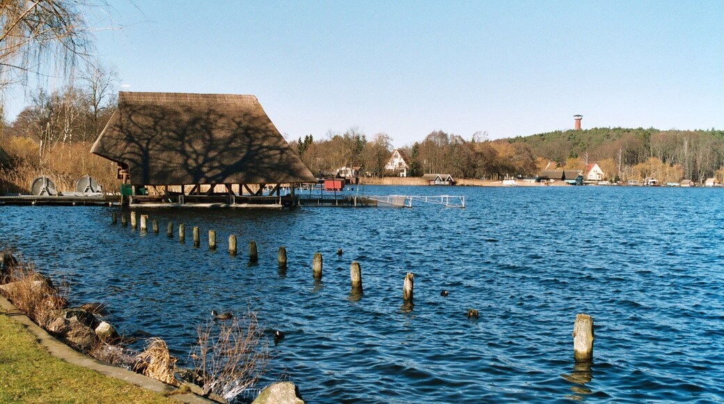 Krakow am See, the Lake Krakow and view to the Jörnberg tower