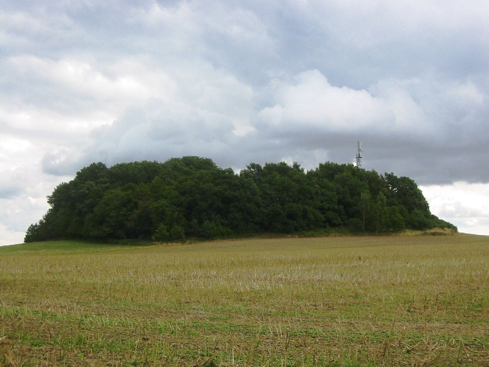 Hoher Berg in Wusterhusen, eine 44 Meter hohe Erhebung in Vorpommern-Greifswald, Mecklenburg-Vorpommern