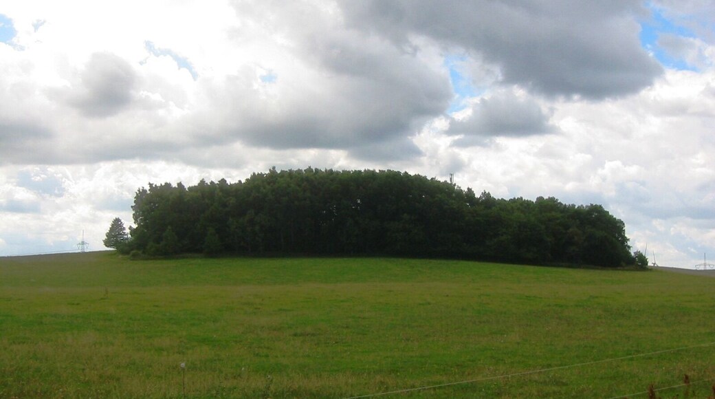 Hoher Berg in Wusterhusen, eine 44 Meter hohe Erhebung in Vorpommern-Greifswald, Mecklenburg-Vorpommern