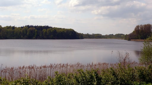 Grabauer See, fotografiert von der Nordostseite.