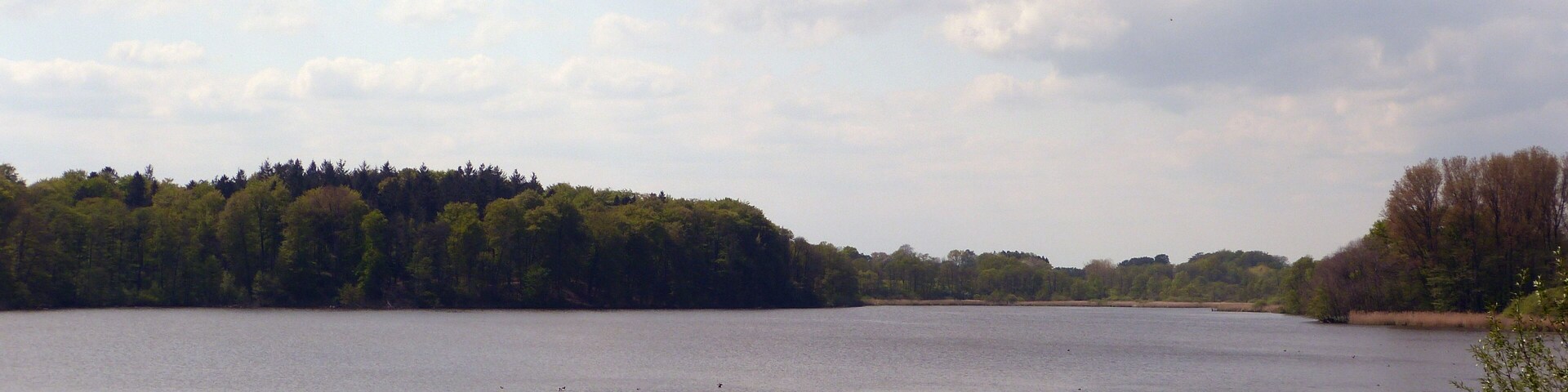 Grabauer See, fotografiert von der Nordostseite.