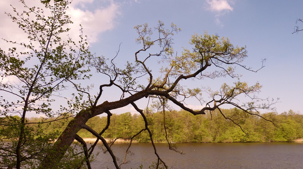 Grabauer See, fotografiert von der Westseite.
