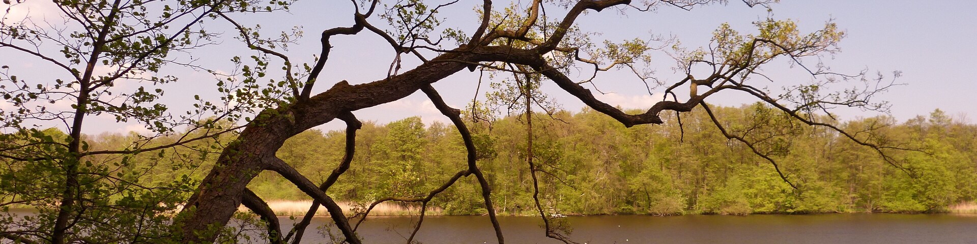 Grabauer See, fotografiert von der Westseite.