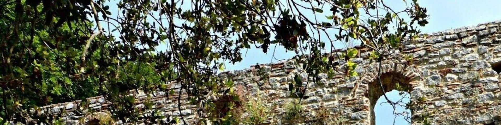 The Basilica at the UNESCO World Heritage site of Butrint in Albania. If you love ruins, especially ruins that you can visit while walking through lush forest then this is the site for you.