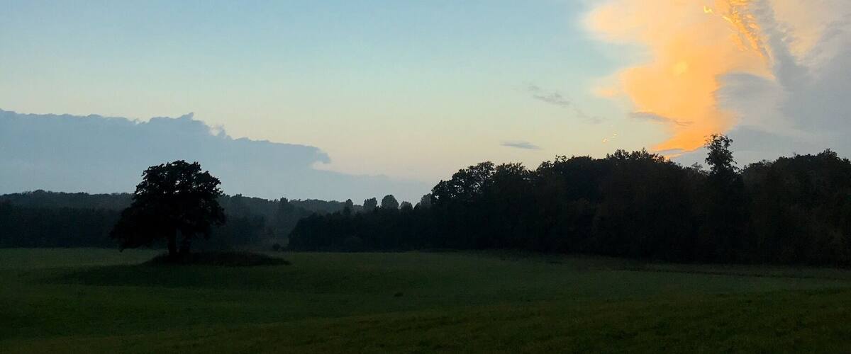 A sunset over a grassy field with a tree silhouette and distant hills.