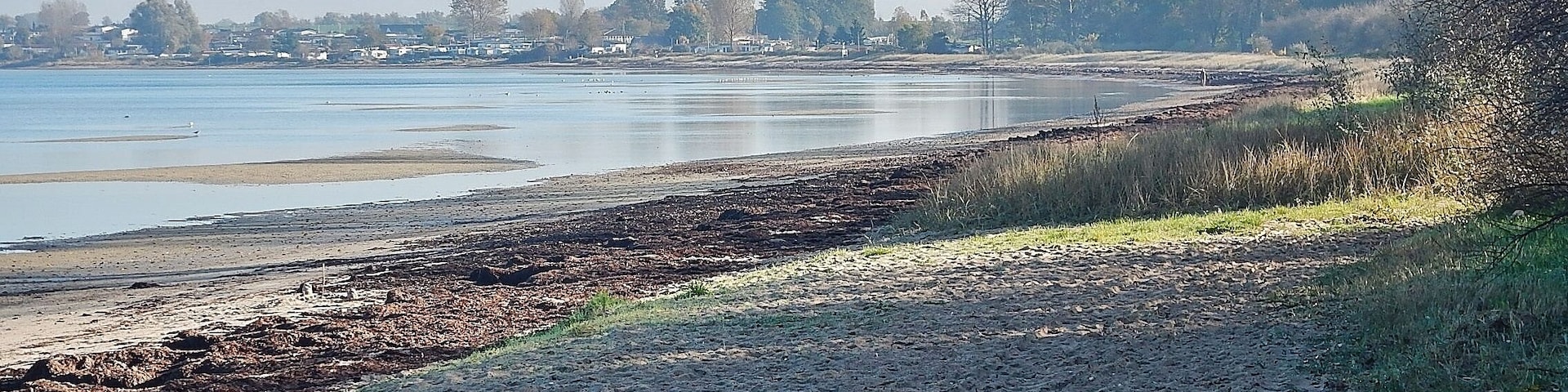 Strand bei Hohenkirchen