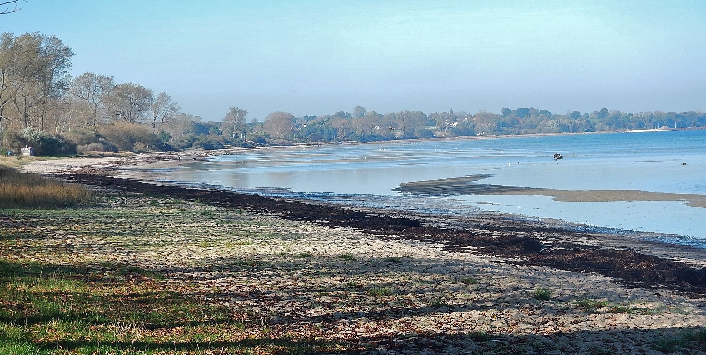 Strand bei Hohenkirchen