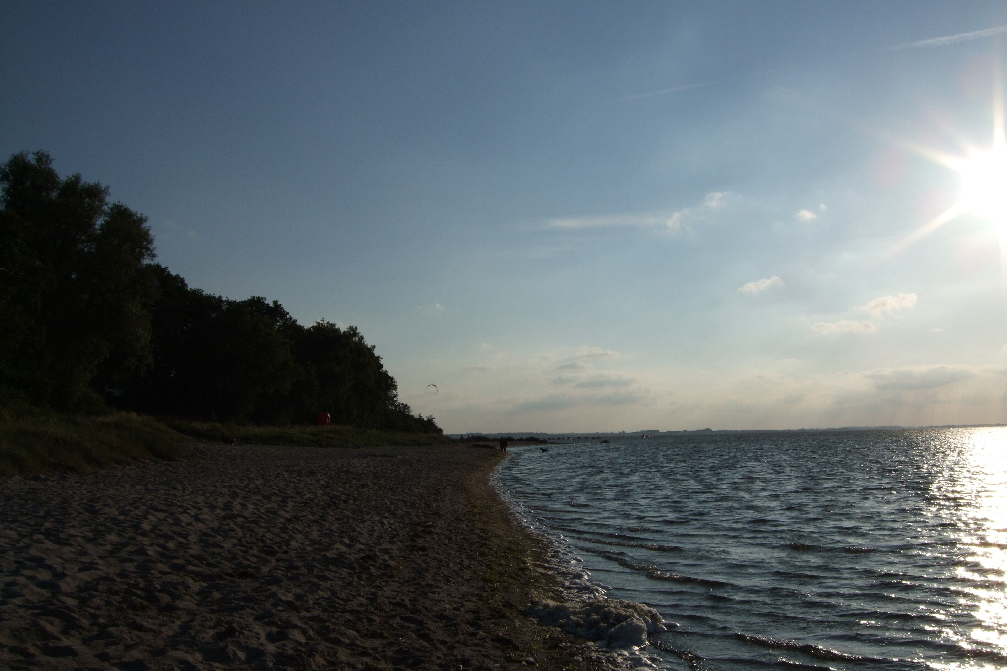A beach with sand, water, and trees under a clear sky.