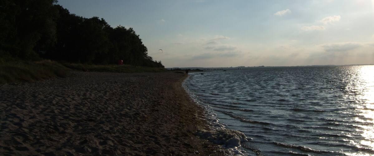 A beach with sand, water, and trees under a clear sky.