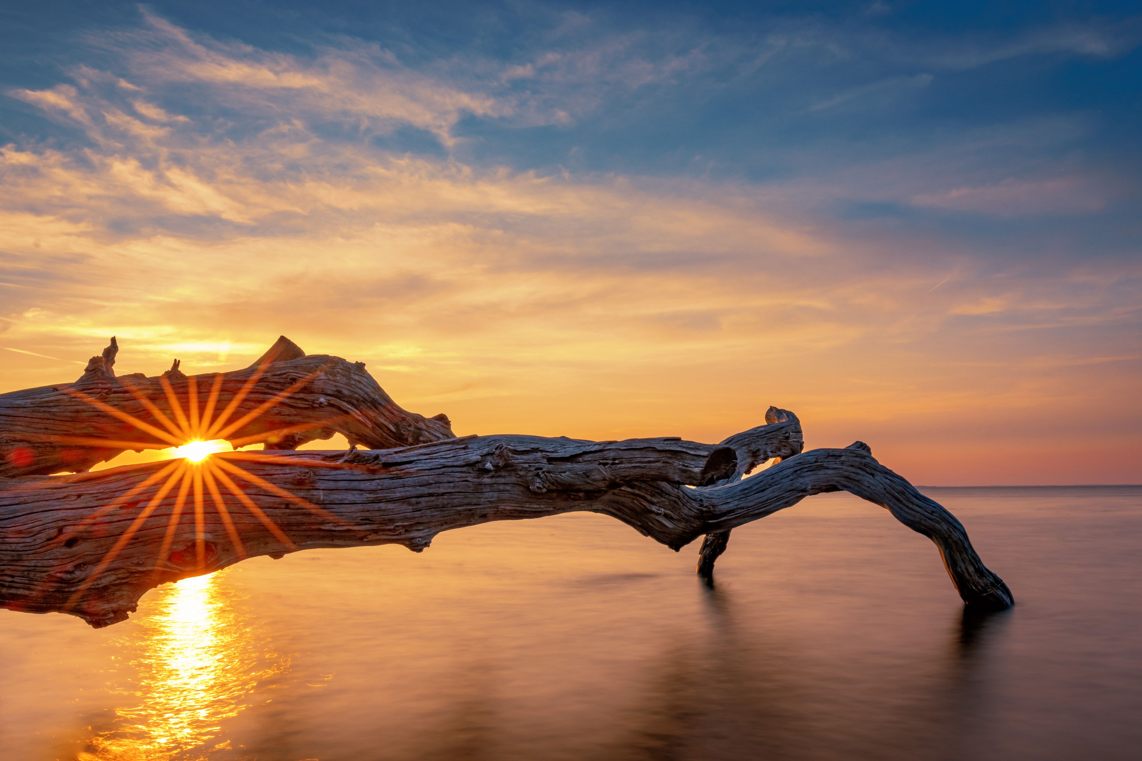 Un atardecer sobre un mar tranquilo con un tronco de madera a la vista en primer plano.