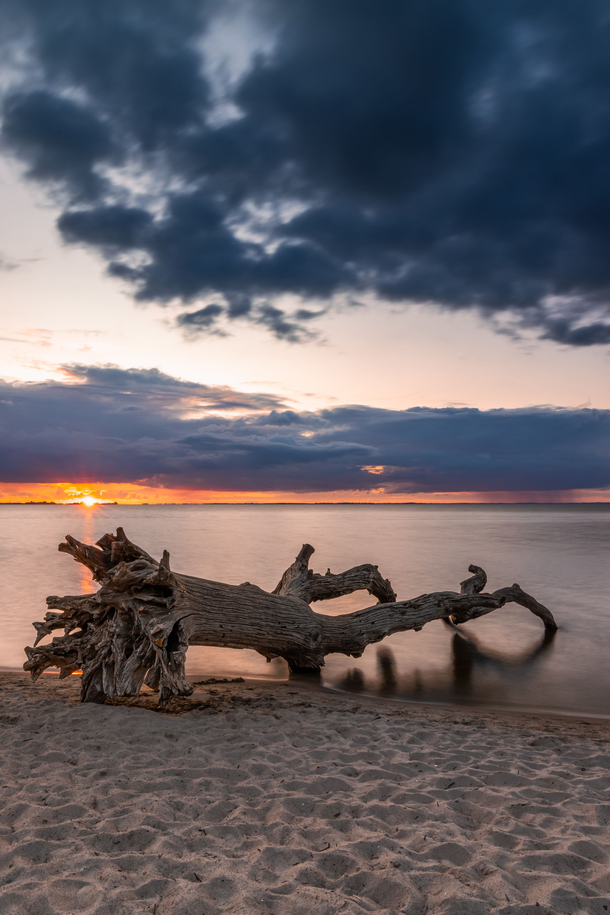 Un atardecer sobre un mar tranquilo con un tronco de árbol caído en primer plano.