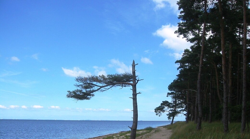 Küste im Naturschutzgebiet Lanken, Vorpommern-Greifswald (Mecklenburg-Vorpommern)