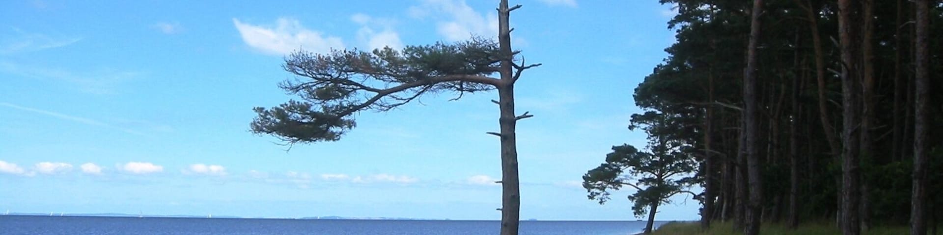 Küste im Naturschutzgebiet Lanken, Vorpommern-Greifswald (Mecklenburg-Vorpommern)