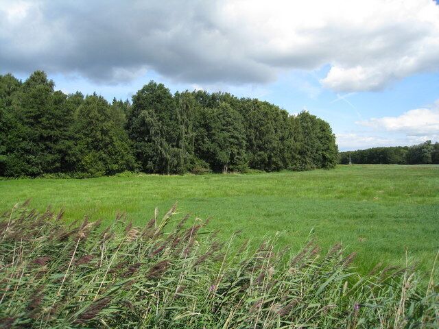 Marschland bei Rothenhusen