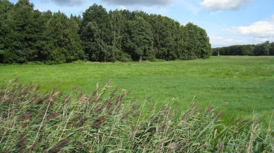 Marschland bei Rothenhusen