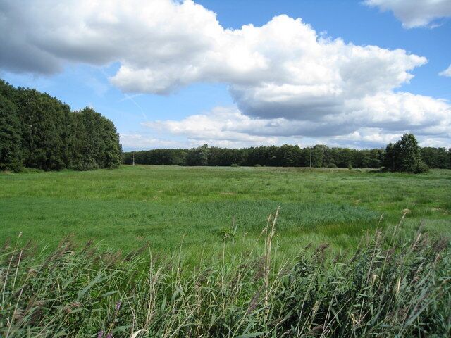 Marschland bei Rothenhusen