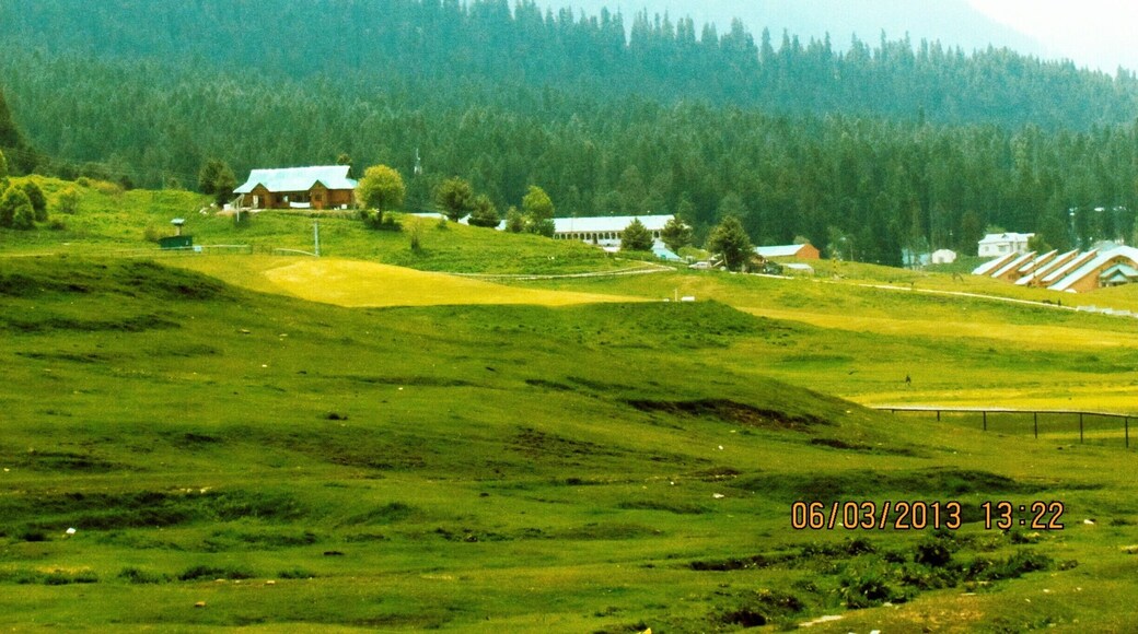 Like a Green Carpet in Gulmarg, Kashmir.
Gulmarg is famous for the Highest Altitude Golf Course in the World and famous Gondola Ride.