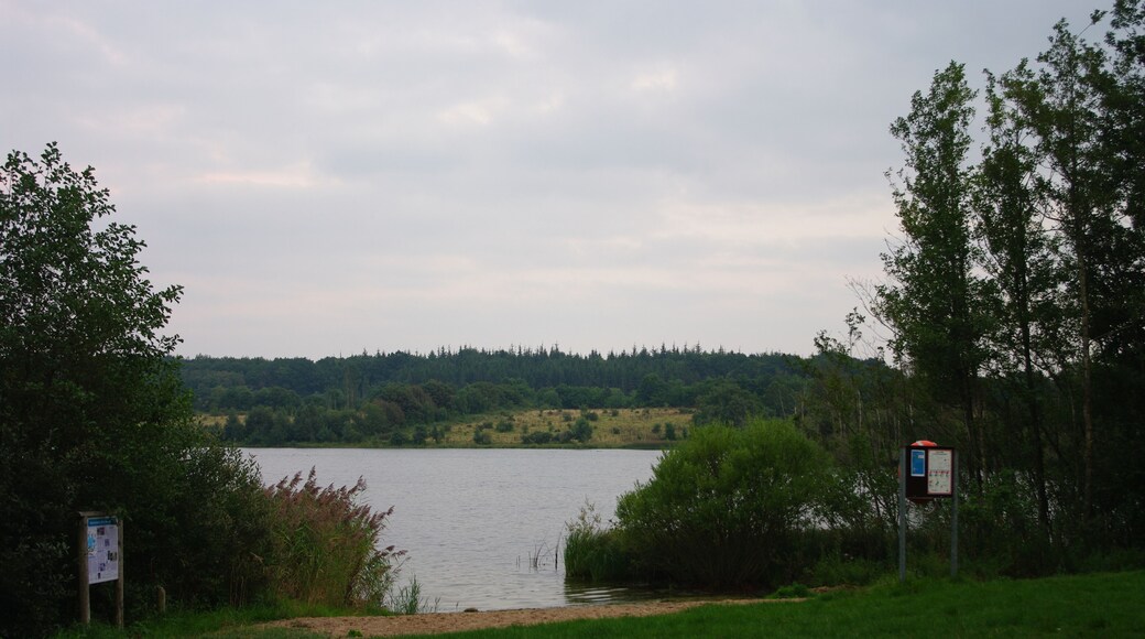Die Wasserfläche des Bültsees von Westen gesehen