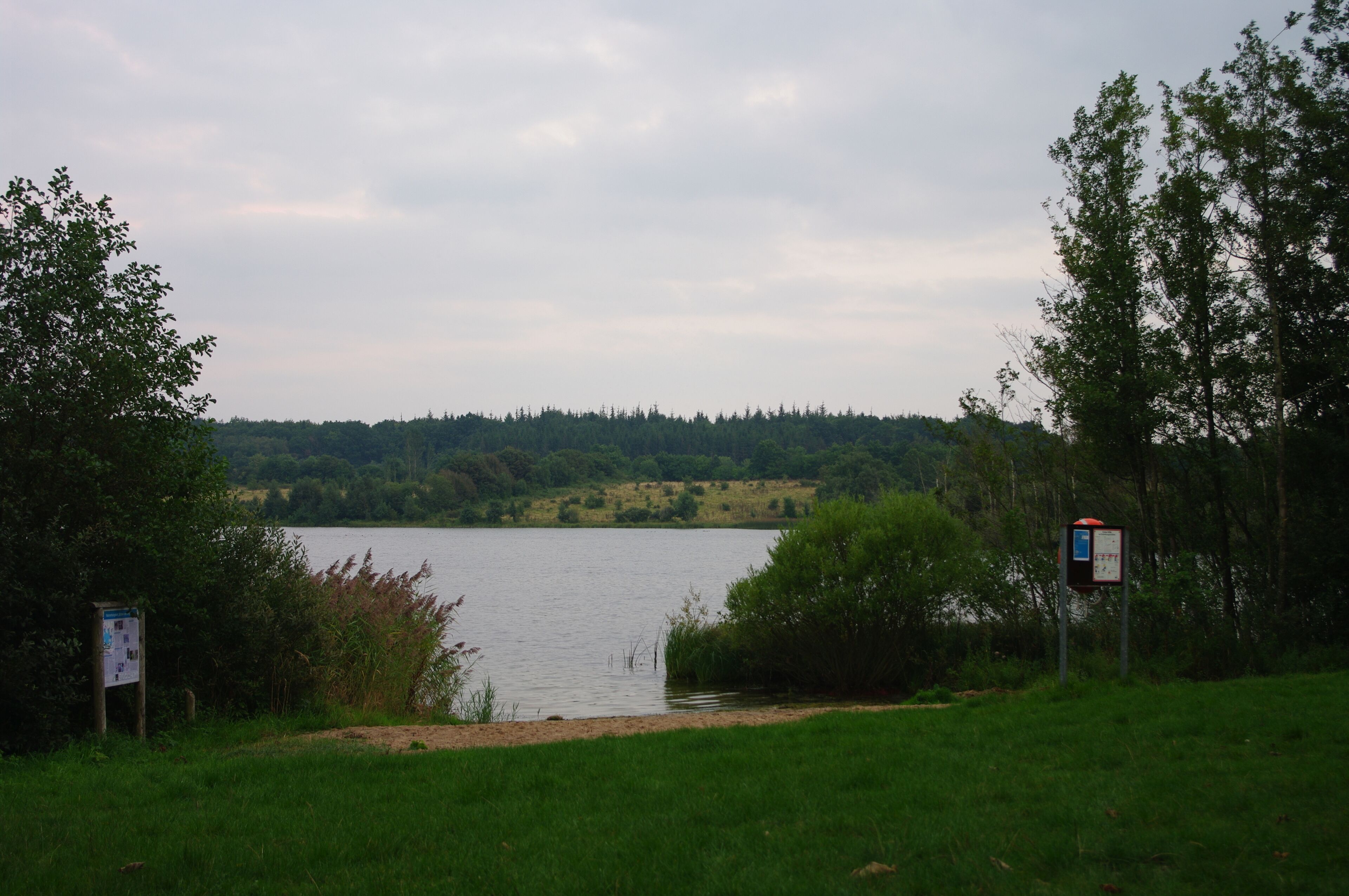 A lake surrounded by trees and a grassy area with a signboard.