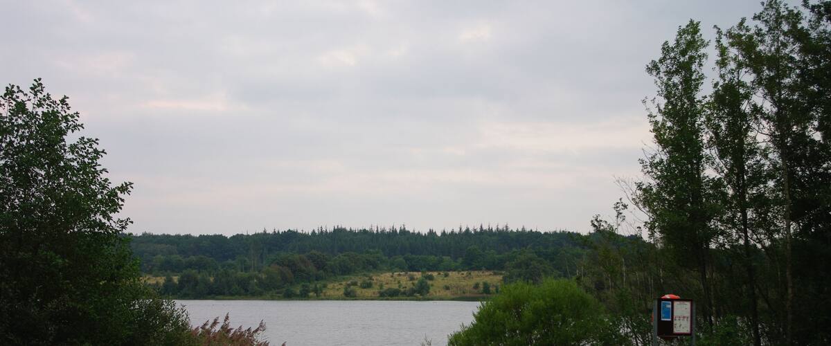 A lake surrounded by trees and a grassy area with a signboard.