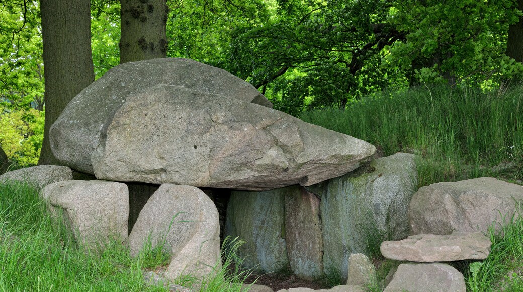 Grosssteingrab bei Lancken-Granitz,Insel Rügen,Ostsee,MV,Deutschland