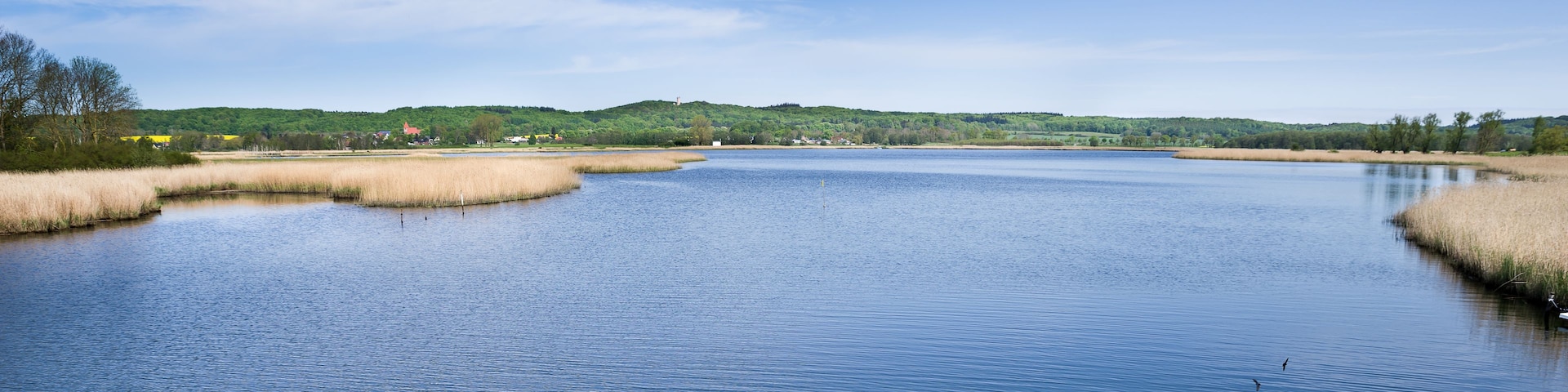A calm lake surrounded by grassy banks and a forested hill in the distance.