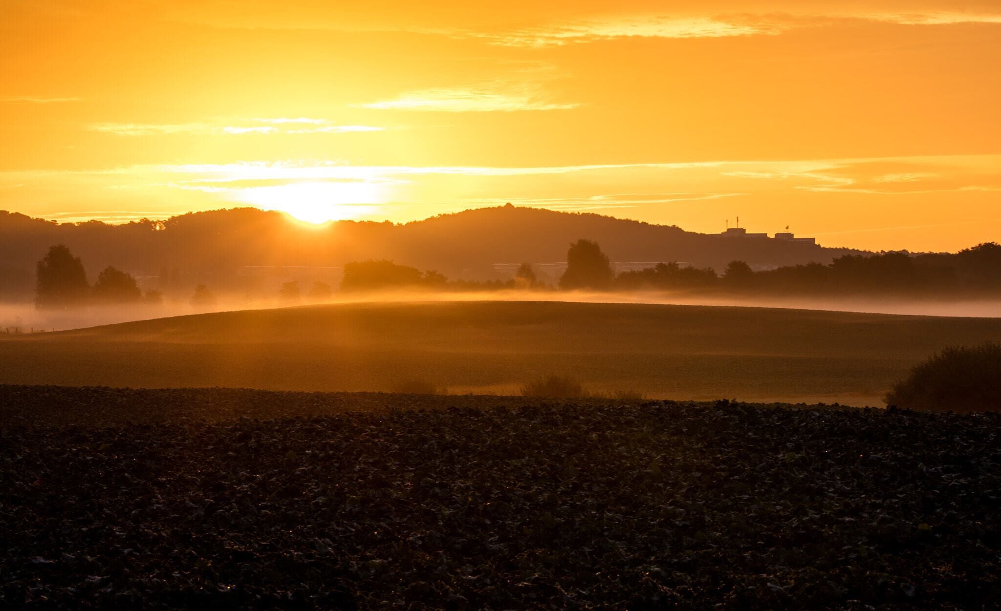 500px provided description: Island R?gen Germany [#landscape ,#fog ,#island ,#orange ,#500px ,#panorama ,#haze ,#lawn ,#perspective ,#r?gen ,#popular ,#horizont ,#Sunrise ,#Photography ,#Landschaft ,#Weber ,#Wolfgang ,#Wolfgang Weber ,#500pxpopular ,#500pxrtg ,#500pxfeatured ,#phowoto]