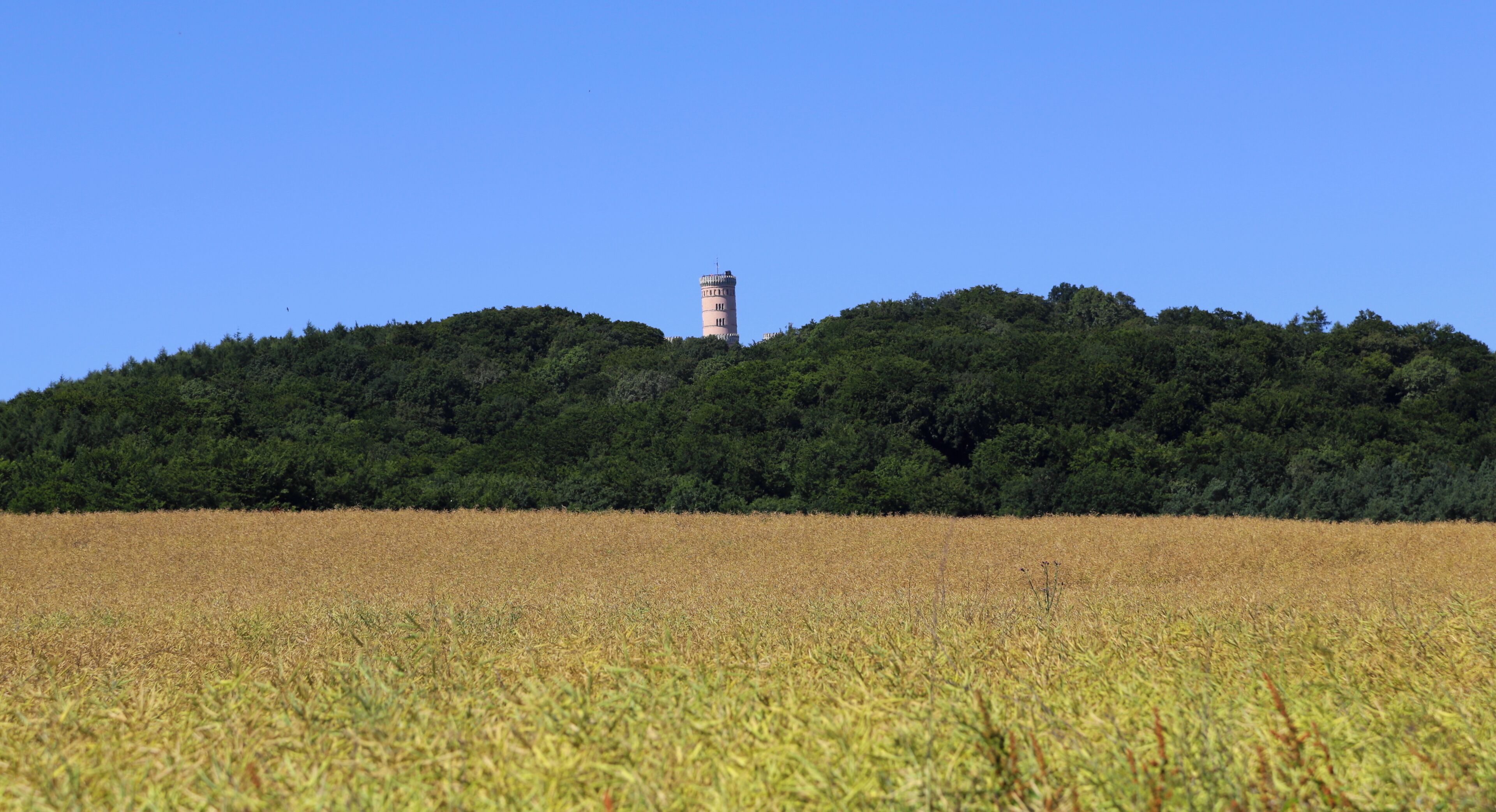 A tower on a hill with a field in the foreground.