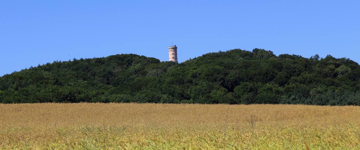 A tower on a hill with a field in the foreground.