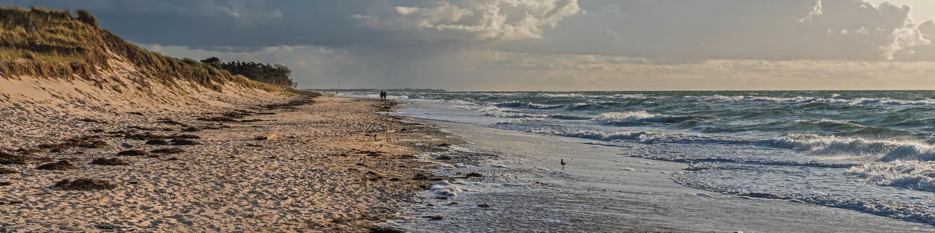 Ostseestrand auf der Halbinsel Fischland-Darß-Zingst; Deutschland
