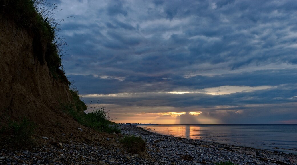 โฮเฮนเฟลด์