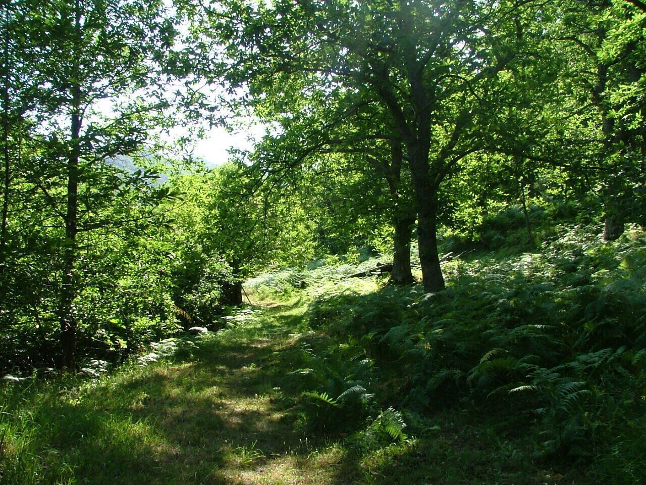 Borgo di Serignana 626 mt s.l.m.