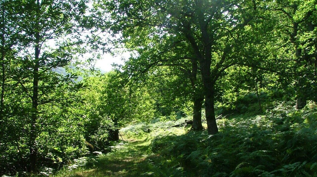 Borgo di Serignana 626 mt s.l.m.