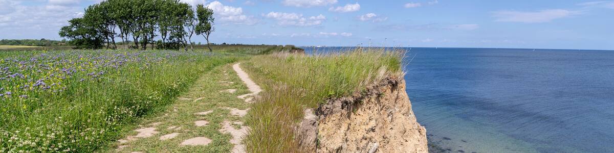 cliffed coast at the Baltic Sea in Schönhagen, Germany