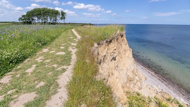 A coastal path with a cliff, grassy areas, and a tree line.