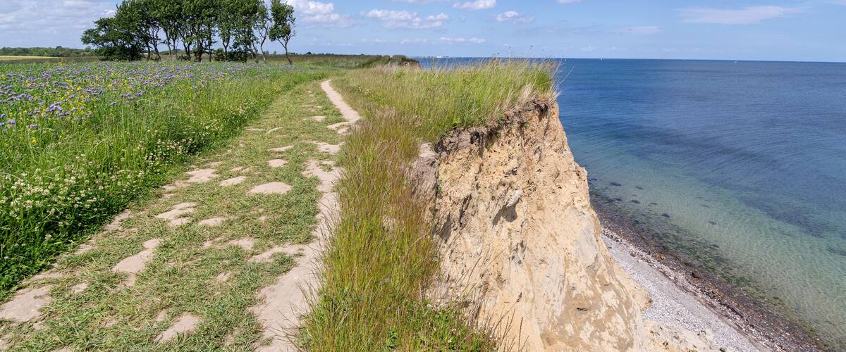 A coastal path with a cliff, grassy areas, and a tree line.