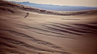 A vast desert landscape with sand dunes and a person walking along a trail.